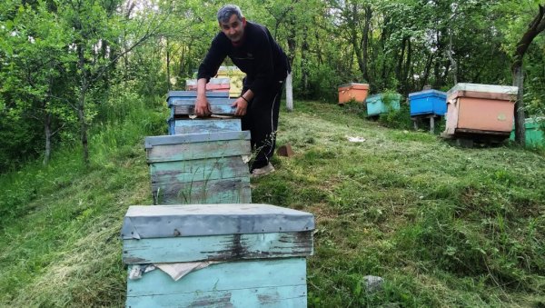 ПАРАЋИНСКО УДРУЖЕЊЕ ПЧЕЛАРА ПОДСЕЋА: Расписан конкурс за подстицаје по кошници ПАРАЋИНСКО УДРУЖЕЊЕ ПЧЕЛАРА ПОДСЕЋА: Расписан конкурс за подстицаје по кошници