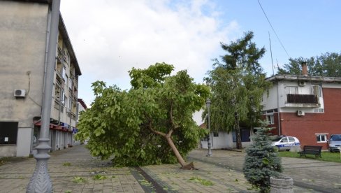 OLUJA ČUPALA DRVEĆE: Nevreme protutnjalo Donjim Milanovcem (FOTO)