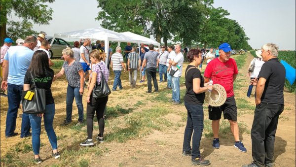 МЕТЕОРОЛОГИЈА И ПОЉОПРИВРЕДА: Чему служе станице дуж границе са Румунијом