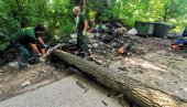 OLUJA SRUŠILA DRVO U VRČINU: Dramu u selu Kasapovac rešili hrabri radnici Zelenila (FOTO)