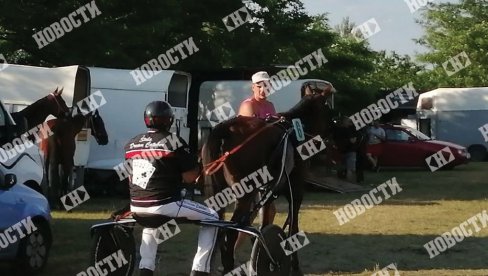 NIKOLA JOKIĆ BODRIO SVOJU LJUBIMICU NA TRKAMA: Sudijska rampa na prvo mesto za Ejmi Du Omo (FOTO)