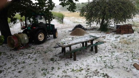 GRAD UNIŠTIO SNOVE MALINARA: Nezapamćeno nevreme obralo voće u užičkom kraju, poljoprivrednici sabiraju štetu