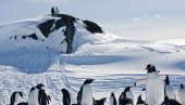 POTVRĐENA NOVA REKORDNA TEMPERATURA NA ANTARKTIKU: Izmereno više od 18 stepeni Celzijusovih