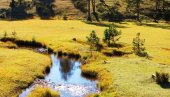 BIRAM SRCEM, BIRAM SRBIJU! Evo zašto je Zlatibor idealna destinacija za odmor