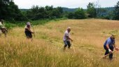 TAKMIČENJE KOSBAŠA TREBALO BI DA BUDE DEO TURISTIČKE PONUDE: Održana prva moba i takmičenje u kosidbi na Trebavi