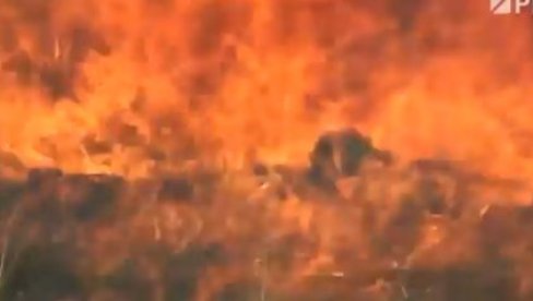 POŽAR NA BRAČU: Vatrena stihija izbila nakon udara groma,  u gašenju učestvuju i kanaderi (VIDEO)