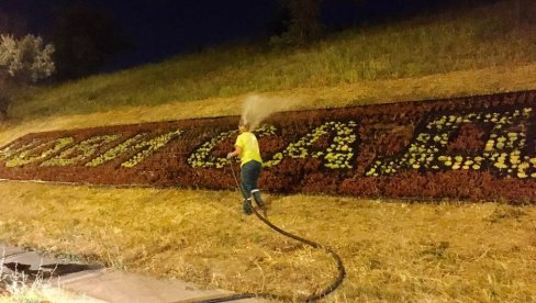 NOVOSADSKO ZELENILO SE BORI SA VISOKIM TEMPERATURAMA: Intenzivno zalivaju zelene površine i noću (FOTO)