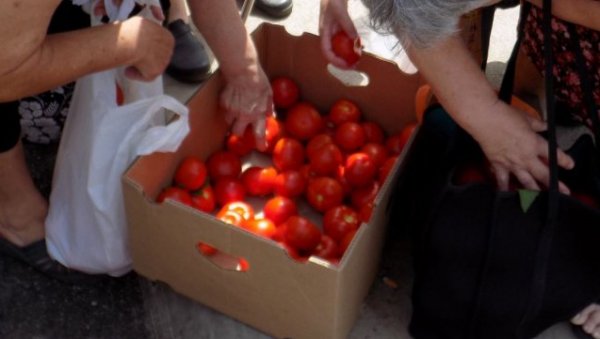 НЕДИМОВИЋ ОБЕЋАО: Проблем са парадајзом биће решен за пар дана!