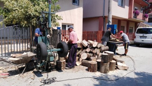 POČELA PRIPREMA DRVA ZA ZIMU: Jagodinci na vreme krenuli da pripremaju ogrev