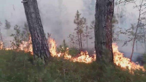 ВЕЛИКИ ПОЖАР КОД КОСОВА ПОЉА: Угрожене куће у селу Кузмин