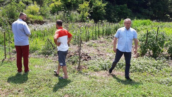 СВЕ ЈЕ ОТИШЛО ЗА САТ: У Модричи невреме уништило кукуруз, воће и поврће (ФОТО)