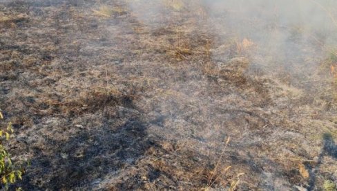 IZGORELO TRI HEKTARA PAŠNJAKA: Ugašen požar iznad Starih Ledinaca na Fruškoj gori (FOTO)