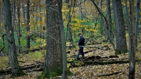 SPREČITI OTIMANJE IMOVINE 400.000 SRBA: Od septembra Beograd i Banjaluka u akciji kako bi pomogli ljudima iz RS širom sveta