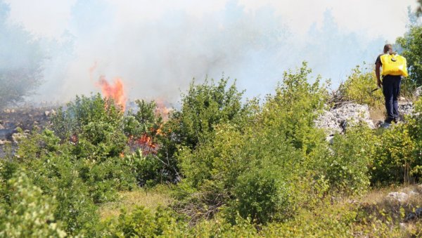 БРАНИЛИ СМО КУЋЕ ОД ВАТРЕ СВЕ ДО ЗОРЕ: На територији општине Гацко избило више шумских пожара, ватрогасци сумњају на подметање