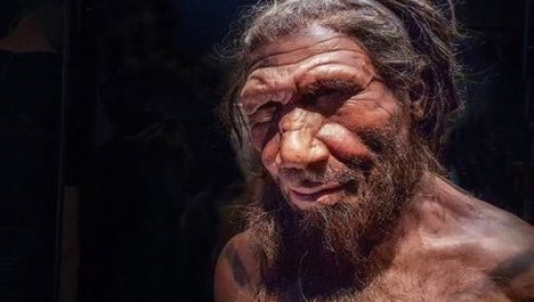 KOSTI IZ MAROKA KLJUČ RAZUMEVANJA LJUDSKE LOZE: Da li je ovo poslednji zajednički predak ljudi i neandertalaca?