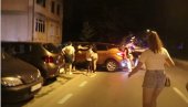 PRITISAK NA RAD I UGROŽAVANJE VLADAVINE PRAVA: Novosadsko Osnovno tužilaštvo o incidentu na protestu u Petrovradinu (VIDEO)