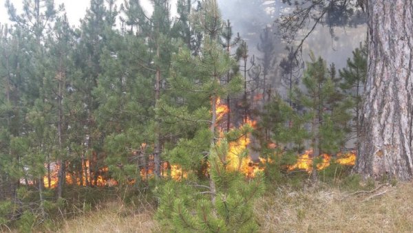 НОВИ ПОЖАР КОД НОВЕ ВАРОШИ: Гори 20 хектара шуме (ФОТО)