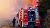 LJUDSKI NEMAR UZROK POŽARA: Izgorelo nekoliko stotina maslina