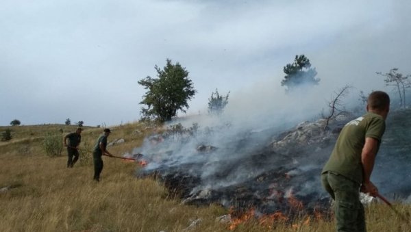 ВЕЛИКИ ПОЖАР У КАЊОНУ ТАРЕ: Ватра прети да угрози куће у селу Зглавак (ФОТО)