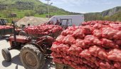 KROMPIRAŠI TRLJAJU RUKE: Smeši im se odlična zarada, sav rod na domaćem tržištu