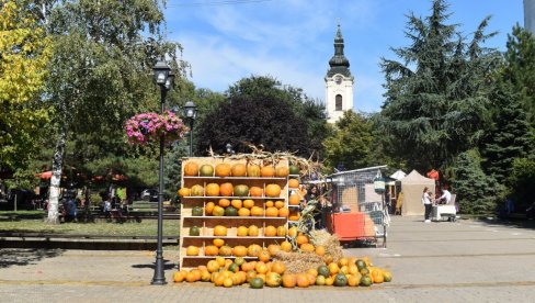 ЗА ЏИНОВСКЕ БУНДЕВЕ НАГРАДА 100.000 ДИНАРА: У Кикинди почели 36. “Дани лудаје”, стижу и такмичари из Мађарске (ФОТО)