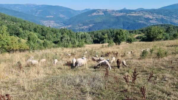 НОВА ШАНСА ЗА ПРИЈЕПОЉСКЕ ПОЉОПРИВРЕДНИКЕ: Расписан конкурс за доделу средстава