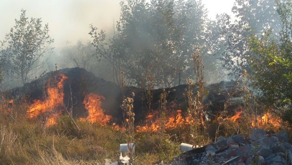 ПОЖАР У ЛЕСКОВЦУ: Горело ниско растиње и трава код насеља Кумалак и Анчики (ФОТО)