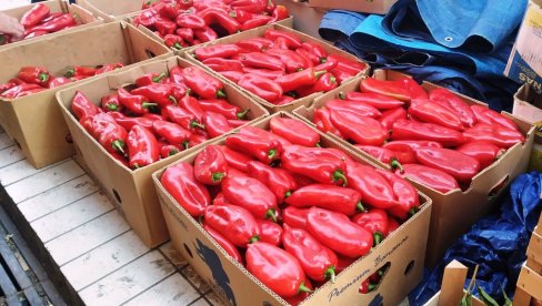 POČELA SEZONA AJVARA I PEKMEZA: U Paraćinu šljiva se može pazariti već za 60 dinara po kg, ali je paprika ajvaruša još 150