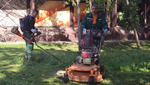 ZELENIJI ZRENJANIN: Počinje pošumljavanje u ovom gradu