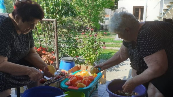 АЈВАР ЈЕФТИНИЈИ У РАДЊИ: Висока цена паприка у Јадру