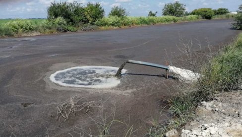 NA ULICI ZBOG FARME: Žitelji Temerina prešli na otvorene proteste jer nadležni ne reaguju na njihove žalbe