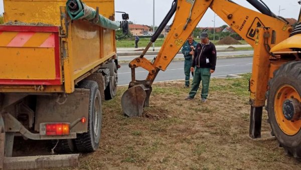 ЈУГОВИЋЕВО И БУЛЕВАР ЈОВАНА ДУЧИЋА У НОВОМ РУХУ: Новосадско Зеленило почело два пројекта јесење садње у граду