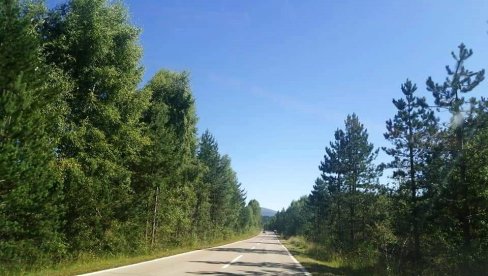 ЛЕСКОВЧАНИ УХАПШЕНИ НА ВЛАСИНИ: Шверцовали мигранте ЛЕСКОВЧАНИ УХАПШЕНИ НА ВЛАСИНИ: Шверцовали мигранте