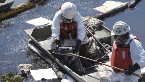 POTRESNI PRIZORI U KALIFORNIJI: Izlivanje nafte izazvalo pomor ribe, ptice zaglavljene u mulju (FOTO)