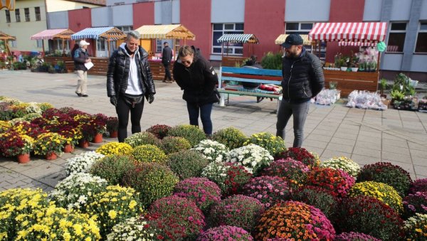 ФЕСТИВАЛ ЦВЕЋА У ЖИТИШТУ: Настављена јесења традиција (ФОТО)