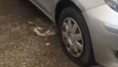 NEVEROVATNA BAHATOST NA VOŽDOVCU! Vlasnici automobila u šoku - Izbušene gume na svim vozilima na parkingu (VIDEO)