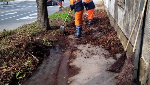 AKCIJA ČIŠĆENJA U ZEMUNU: Komunalci uredili ulice na Galenici