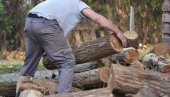 КУБИК ДРВА ЈЕФТИНИЈИ ЧАК 50 ОДСТО: Ове групе грађана могу га добити за мање од 3.000 динара