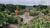 ДРАМАТИЧНЕ СЦЕНЕ НА ЈУГУ ИТАЛИЈЕ: У снажној олуји страдала најмање једна особа! (ФОТО/ВИДЕО)