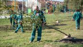 PUTNIKOVO U NOVOM RUHU: Rekonstrukcija zrenjaninskog parka u punom jeku PUTNIKOVO U NOVOM RUHU: Rekonstrukcija zrenjaninskog parka u punom jeku