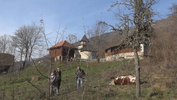 УЖАС КОД ПРИБОЈА: Мушкарац из пиштоља упуцао бика и краву (ФОТО)