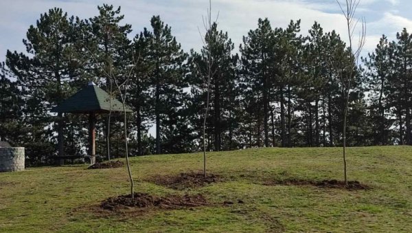 ПОШУМЉАВАЊЕ ХИСАРА И СПОМЕН ПАРКА: Акција локалне самоуправе и надлежног министарства