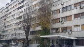 SEČA SUVIH STABLA: Radovi Zelenila na Novom Beogradu