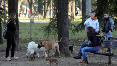 BESPLATNI PREGLEDI ZA LJUBIMCE: U subotu na Fakultetu veterinarske medicine, obavezno zakazivanje BESPLATNI PREGLEDI ZA LJUBIMCE: U subotu na Fakultetu veterinarske medicine, obavezno zakazivanje
