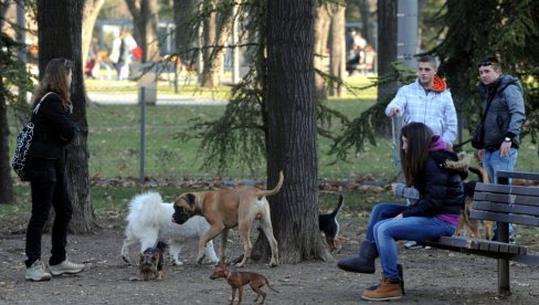 BESPLATNI PREGLEDI ZA LJUBIMCE: U subotu na Fakultetu veterinarske medicine, obavezno zakazivanje