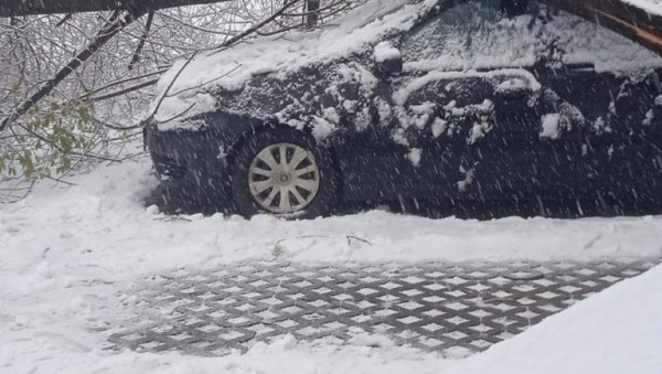 МЛАДИЋ БИО ЗАРОБЉЕН У АУТОМОБИЛУ: Пало дрво на Новом Београду