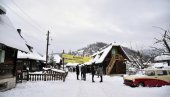 ПОЧИЊЕ ФИЛМСКА МЕЋАВА КОД КУСТЕ: Гаронеу Дрво живота