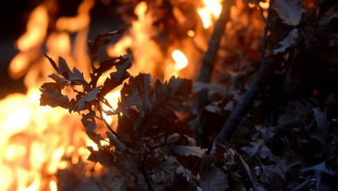 ДОБРЕ ВЕСТИ ЗА СВЕ ЗАПОСЛЕНЕ: Влада препоручила нерадан Бадњи дан – ево како можете да спојите целу седмицу одмора