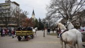 NESREĆA NA BADNJI DAN: Mladića (17) u Kikindi udario konj i teško ga povredio!