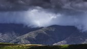 BOTANIČKI ATLAS NEPREGLEDNE LEPOTE: Jedinstven poduhvat umetničkog fotografa Miroslava Jeremića (FOTO)